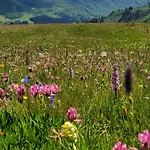 Aparthotel Alpenroyal - Check-in At Garni Royal 3*
